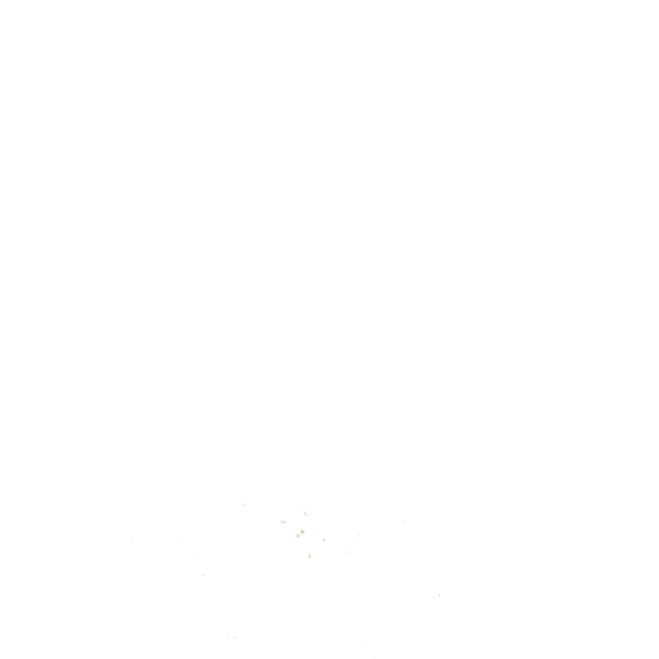 empty-transparent-background-image_191095-80808 Order #1031 - Image 1